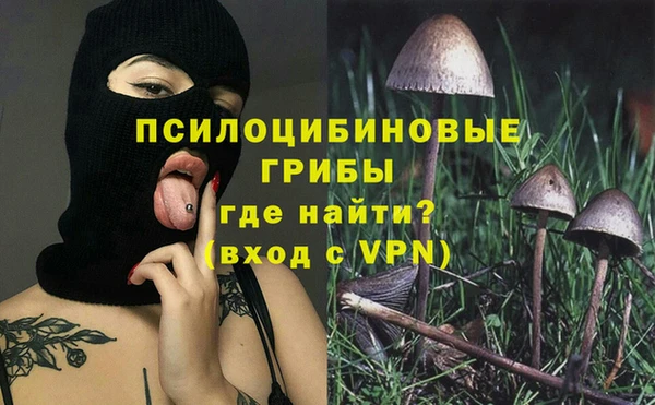 ешки Алексин