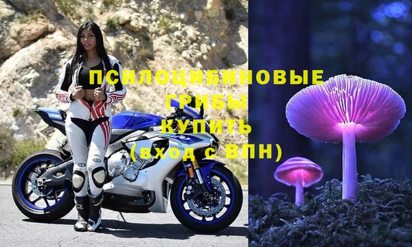 ешки Алексин