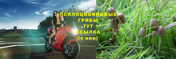 мефедрон Новодвинск