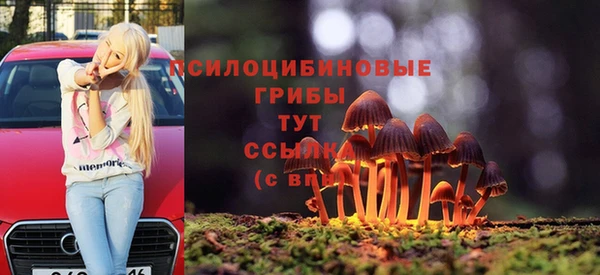 ешки Алексин